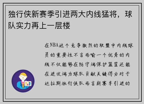 独行侠新赛季引进两大内线猛将，球队实力再上一层楼